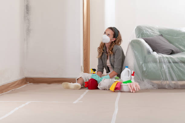 Reliable Mold Remediation contractor in Franklin Park, NJ by WQB Mold Removal
